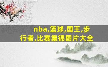 nba,篮球,国王,步行者,比赛集锦图片大全