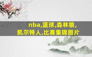 nba,篮球,森林狼,凯尔特人,比赛集锦图片