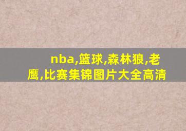 nba,篮球,森林狼,老鹰,比赛集锦图片大全高清