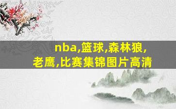 nba,篮球,森林狼,老鹰,比赛集锦图片高清