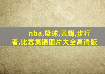 nba,篮球,黄蜂,步行者,比赛集锦图片大全高清版