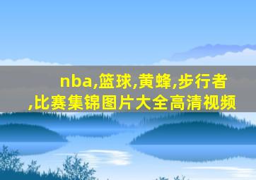 nba,篮球,黄蜂,步行者,比赛集锦图片大全高清视频