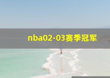 nba02-03赛季冠军