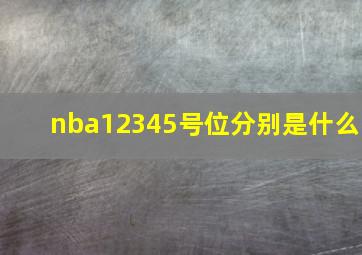 nba12345号位分别是什么