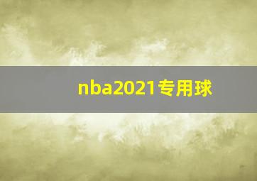 nba2021专用球