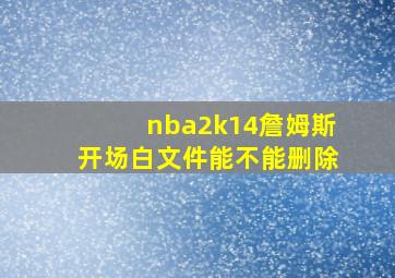 nba2k14詹姆斯开场白文件能不能删除