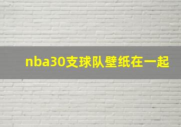 nba30支球队壁纸在一起