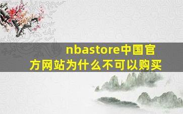 nbastore中国官方网站为什么不可以购买