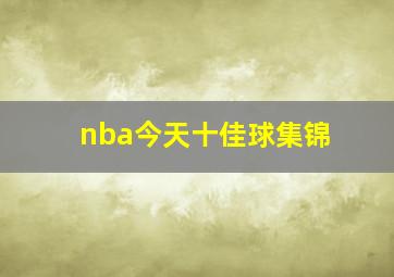 nba今天十佳球集锦