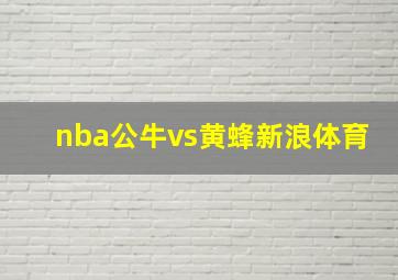 nba公牛vs黄蜂新浪体育