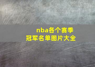 nba各个赛季冠军名单图片大全