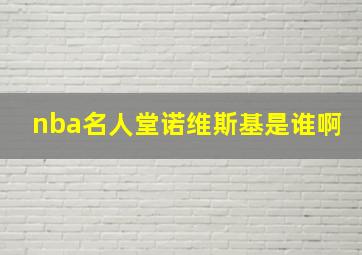 nba名人堂诺维斯基是谁啊