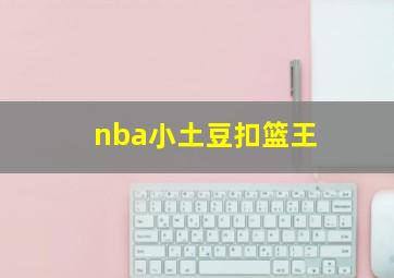 nba小土豆扣篮王