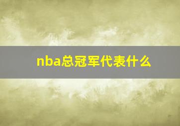 nba总冠军代表什么