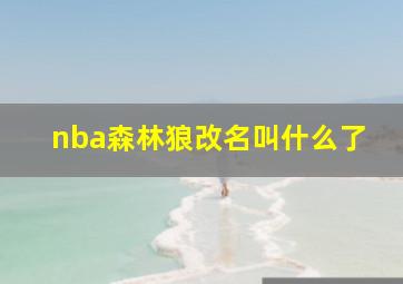 nba森林狼改名叫什么了