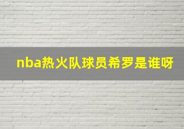 nba热火队球员希罗是谁呀