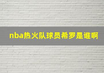 nba热火队球员希罗是谁啊