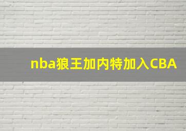 nba狼王加内特加入CBA