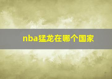 nba猛龙在哪个国家