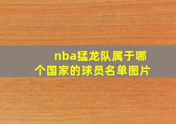 nba猛龙队属于哪个国家的球员名单图片