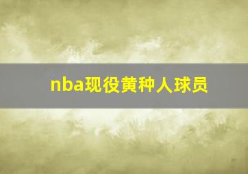 nba现役黄种人球员