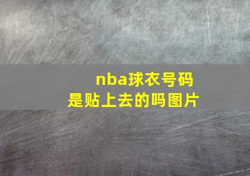 nba球衣号码是贴上去的吗图片