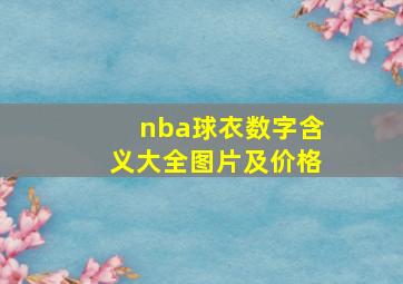 nba球衣数字含义大全图片及价格