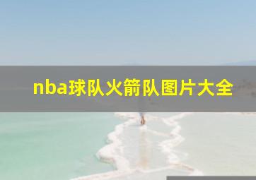 nba球队火箭队图片大全