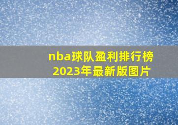 nba球队盈利排行榜2023年最新版图片