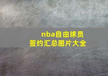 nba自由球员签约汇总图片大全