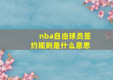 nba自由球员签约规则是什么意思