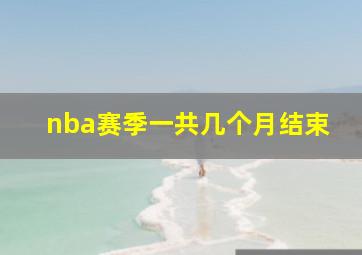 nba赛季一共几个月结束