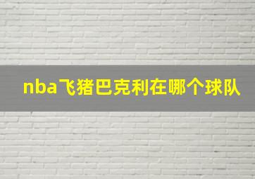 nba飞猪巴克利在哪个球队