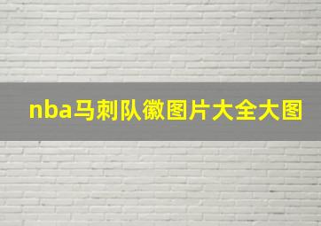 nba马刺队徽图片大全大图