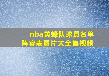 nba黄蜂队球员名单阵容表图片大全集视频