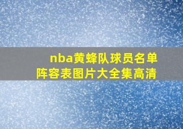 nba黄蜂队球员名单阵容表图片大全集高清