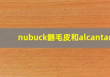 nubuck翻毛皮和alcantara