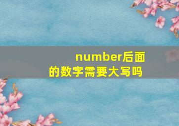 number后面的数字需要大写吗