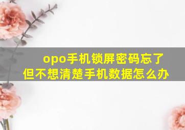 opo手机锁屏密码忘了但不想清楚手机数据怎么办