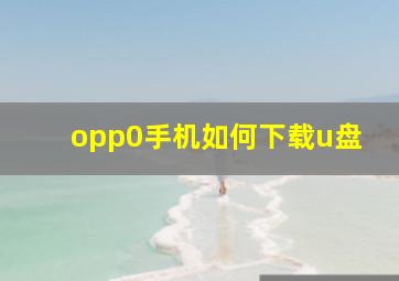 opp0手机如何下载u盘