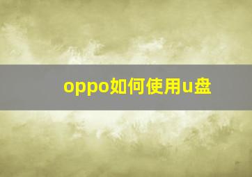 oppo如何使用u盘