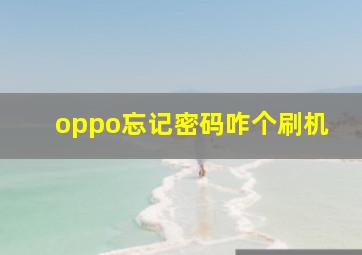 oppo忘记密码咋个刷机