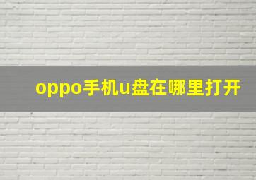 oppo手机u盘在哪里打开