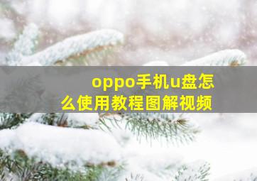 oppo手机u盘怎么使用教程图解视频