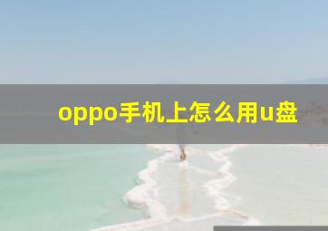 oppo手机上怎么用u盘