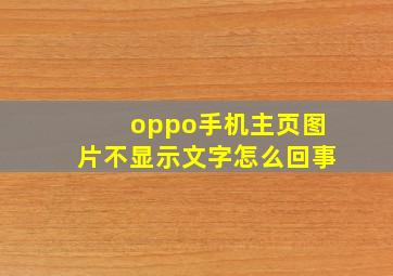 oppo手机主页图片不显示文字怎么回事