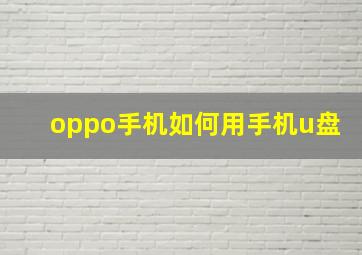 oppo手机如何用手机u盘