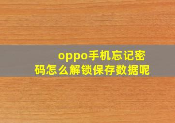 oppo手机忘记密码怎么解锁保存数据呢