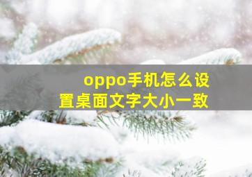 oppo手机怎么设置桌面文字大小一致