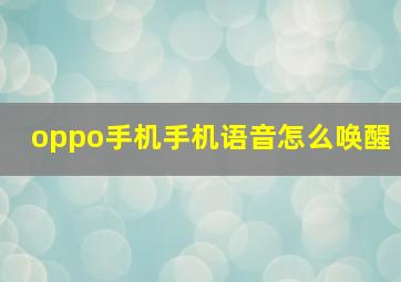 oppo手机手机语音怎么唤醒